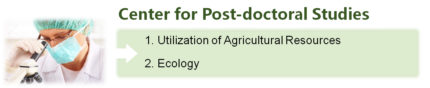 Postdoctoral Research